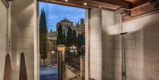 NH Collection Salamanca Palacio de Castellanos